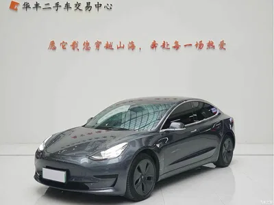 2020 Tesla Model 3 Standard Range Rear-Wheel Drive Upgrade, фото 1, лот 10889175