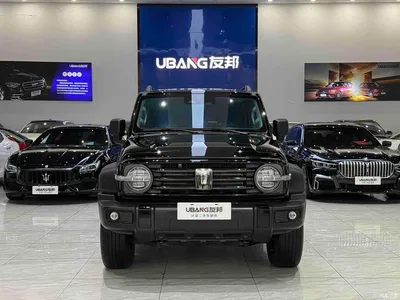 2023 Tank 300 Off-Road Edition 2.0T Conqueror, фото 2, лот 10343998