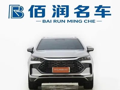 2026 BYD Tang New Energy DM-i 115KM Premium, фото 2, лот 10274016