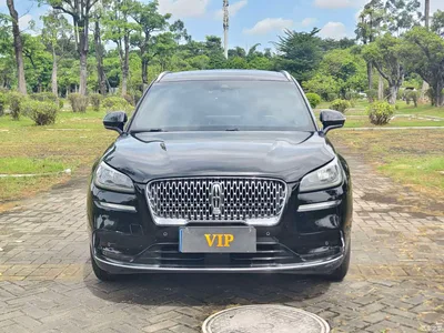 2020 Lincoln Adventurer 2.0T 2WD Premium Elegance Edition, фото 2, лот 11448590