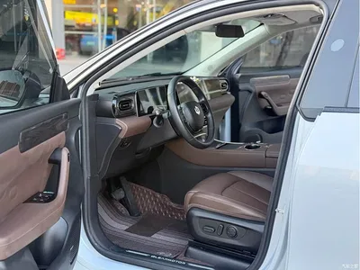 2023 Leapmotor C11 Extended Range 300 Smart Edition, фото 4, лот 11569791