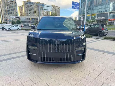 2022 ZEEKR 009 WE Edition, фото 2, лот 10291740