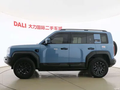 2023 Byd Leopard 5 Pilot Edition, фото 4, лот 11409274