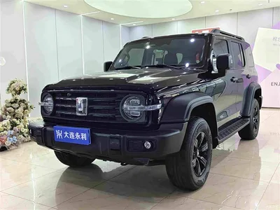 2021 Tank 300 Off-road Version 2.0T Conqueror, фото 1, лот 10450262