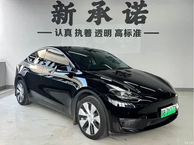 2023 Tesla Model Y Long Range All-Wheel Drive Edition, фото 3, лот 11547667