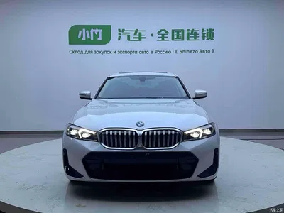 2023 BMW 3 Series 320Li M Sport Package, фото 3, лот 11242876