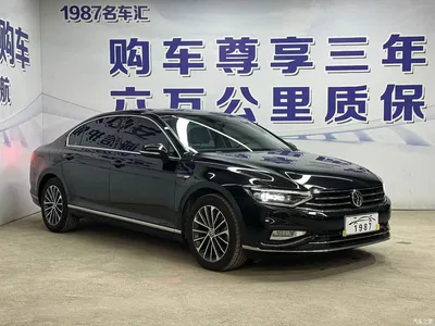 2020 Volkswagen Magotan 330TSI DSG Luxury, фото 3, лот 11243266