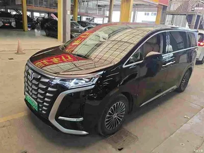 2024 Denza D9 DM-i 980 AWD Premium, фото 1, лот 10450028