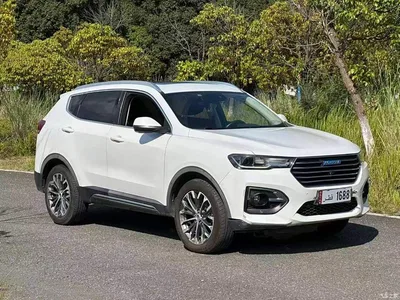 2018 Haval H6 Blue Label 2.0T Auto Luxury, фото 1, лот 10398106