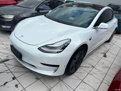 2020 Tesla Model 3 Standard Range Rear-Wheel Drive Upgrade, фото 1, лот 10345888