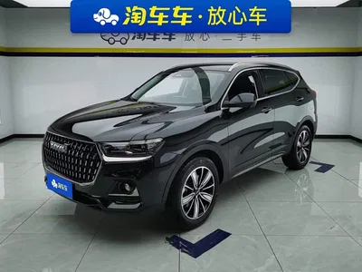 2023 Haval H6 National Trend Edition 1.5T Automatic Champion, фото 1, лот 10392783