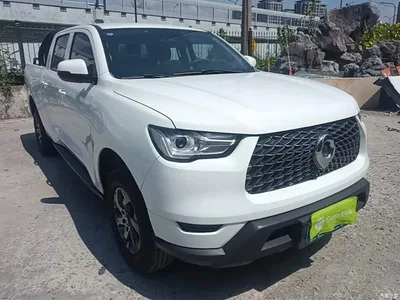 2021 Great Wall Pao 2.0T Commercial Edition Automatic Gasoline 2WD Elite Long Box GW4C20B, фото 4, лот 10672168