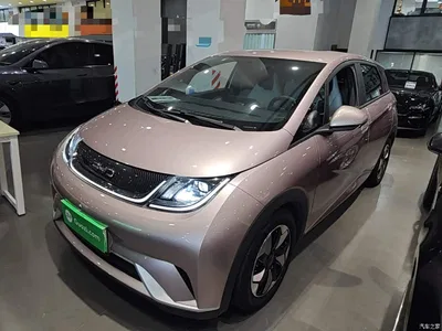 2024 BYD Dolphin Glory Edition 420km Freedom Edition, фото 2, лот 10260648