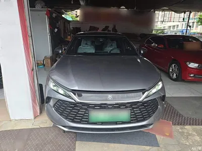2025 BYD Qin L DM-i Smart Drive Edition 120KM Surpassing, фото 3, лот 11549981