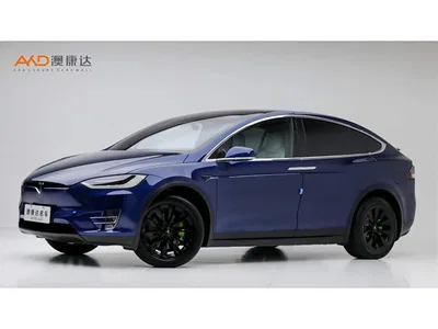 2017 Tesla Model X 100D Long Range, фото 1, лот 10350892