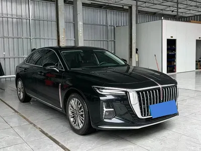 2025 Hongqi H5 1.5T DCT Flag Rhythm 500,000 Units Memorial Edition, фото 3, лот 10286893