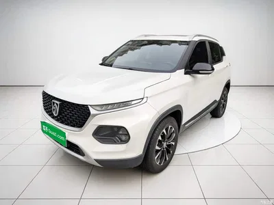 2019 Baojun 510 1.5L Automatic Premium China V, фото 1, лот 10387105