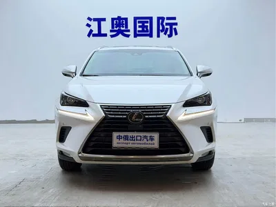 2018 Lexus NX Model 200 AWD Fengshang Edition China V, фото 2, лот 10445765