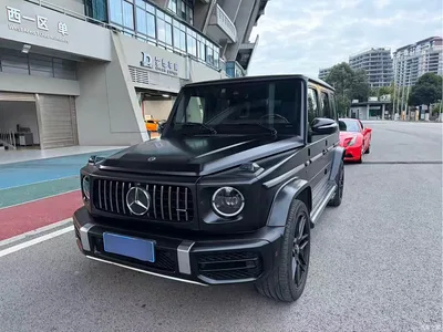 2020 Mercedes-Benz G-Class G 350, фото 1, лот 11184754