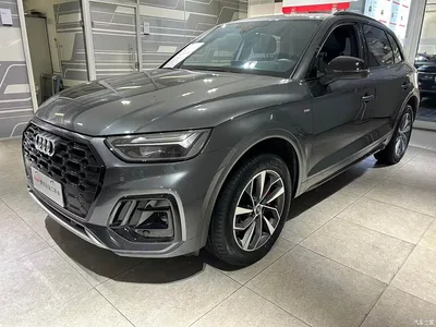 2024 Audi Q5L Model 40 TFSI Luxury Dynamic, фото 1, лот 10455297