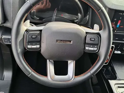 2021 Haval Big Dog 2.0T DCT 4WD Chinese Rural Dog Edition, фото 4, лот 11195570
