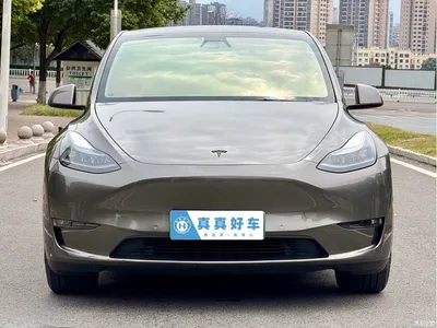 2021 Tesla Model Y Standard Range Rear-Wheel Drive, фото 2, лот 10593007