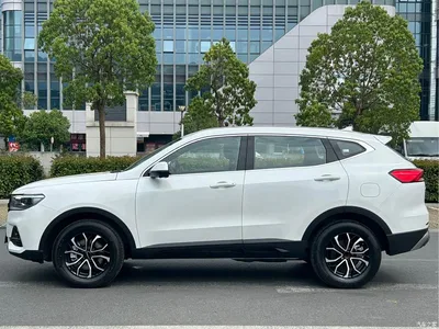2025 Haval H6 1.5T National Trend Champion Edition, фото 4, лот 11136332