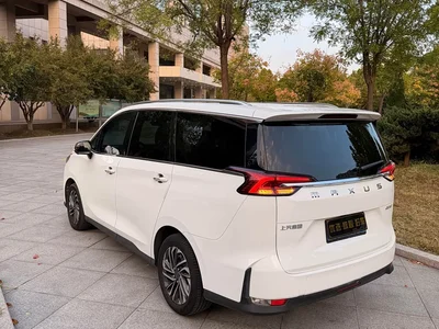 2020 SAIC Maxus Maxus G50 1.5T Auto Premium, фото 4, лот 11160639