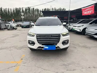 2020 Haval H6 1.5GDIT Automatic Platinum Champion Edition, фото 2, лот 11248275
