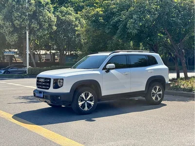 2021 Haval Big Dog 1.5T DCT 2WD Border Collie Edition, фото 3, лот 11582860