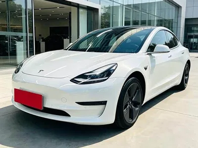 2019 Tesla Model 3 (Import) Long Range RWD Version, фото 1, лот 10353956