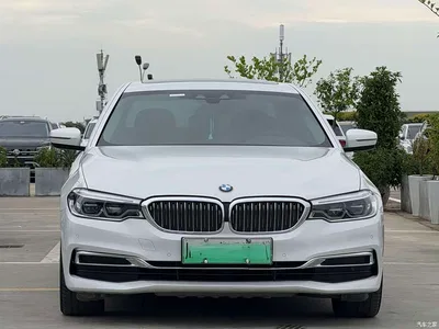 2020 BMW 5 Series New Energy 530Le Luxury Package, фото 1, лот 10474156