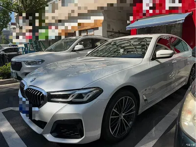 2023 BMW 5 Series 530Li Leading M Sport Package, фото 1, лот 11582734
