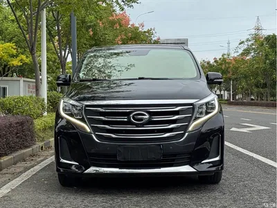 2020 GAC Trumpchi Trumpchi M8 Pilot 390T Ultimate Edition, фото 2, лот 11386436