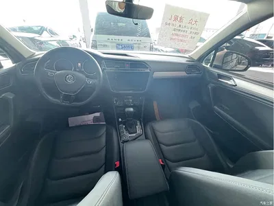 2019 Volkswagen Tiguan L 380TSI Automatic 4WD Intelligent Luxury 7-seater China VI, фото 4, лот 10462438