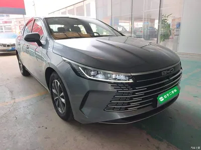 2024 BYD Destroyer 05 Glory Edition DM-i 55KM Luxury, фото 4, лот 10259576