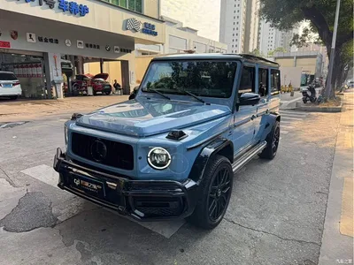 2010 Mercedes-Benz G-Class G 500, фото 1, лот 10295950