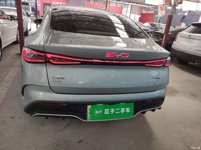 2024 BYD Seal 06 New Energy DM-i 80KM Prestige, фото 4, лот 10272663