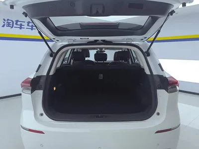 2020 Oshan X7 1.5T Auto Luxury Model, фото 4, лот 10406884