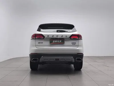 2017 Haval H6 Blue Label 2.0T Auto 2WD Leader, фото 4, лот 10334466