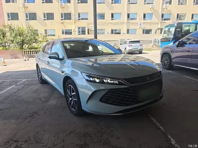 2025 BYD Qin L DM-i Smart Drive Edition 120KM Surpassing, фото 4, лот 10258746