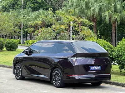2025 XPeng X9 Extended Range Edition, фото 4, лот 10375111