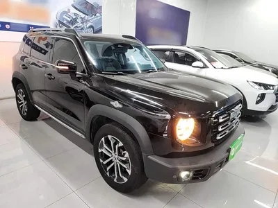 2021 Haval Big Dog 2.0T DCT 2WD Chinese Hound Edition, фото 4, лот 10361316