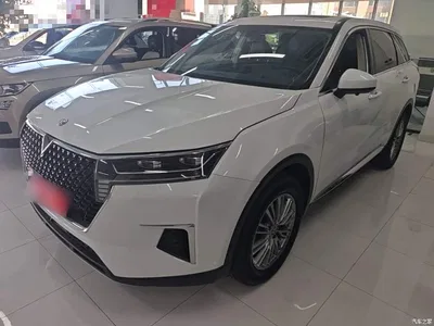2023 Venucia Star 260T Starshine Edition Pro, фото 2, лот 11153630