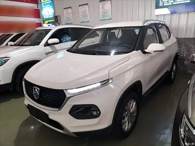 2019 Baojun 510 1.5L CVT Joy Edition China VI, фото 1, лот 10409447