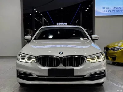 2020 BMW 5 Series 530Li Leading Luxury Package, фото 2, лот 10482609