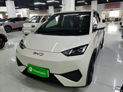 2025 BYD Seagull Smart Drive Edition 305km Vitality Version, фото 1, лот 10260655