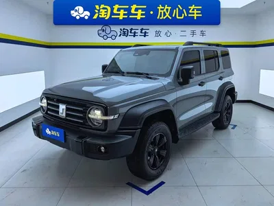 2021 Tank 300 Off-road Edition 2.0T Challenger, фото 1, лот 10392443