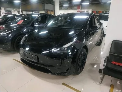 2022 Tesla Model Y Facelift Rear-Wheel Drive Version, фото 1, лот 10369654