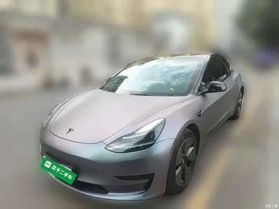 2022 Tesla Model 3 Model Rear-Wheel Drive Version, фото 1, лот 10461873